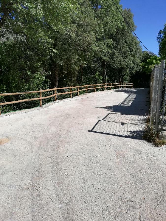 Alojamientos Rurales Vado Ancho La Encina Arroyo Frio Ngoại thất bức ảnh